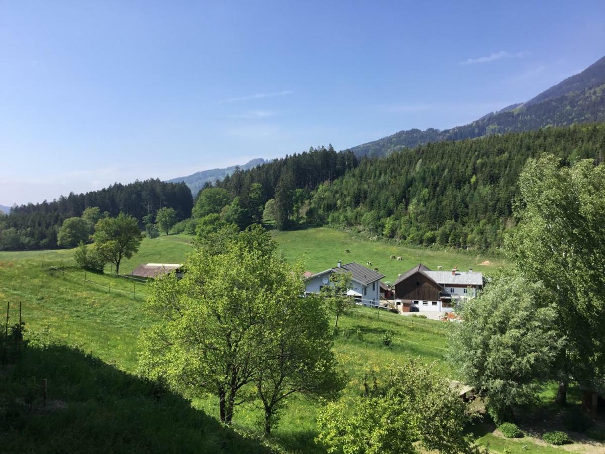 "Natur Pur" Ferienwohnung Mit Eigener Sauna Rons Exterior foto